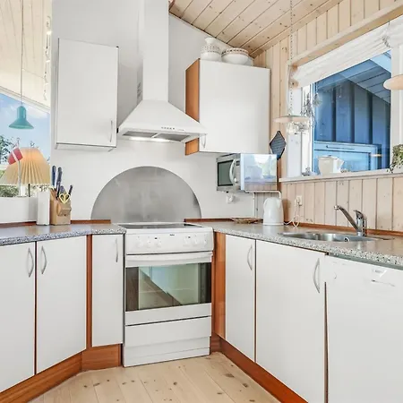 Felizia - 2-5km From The Sea By Interhome Semesterbostad Blokhus